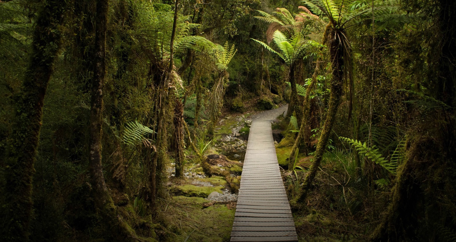 Newzealand