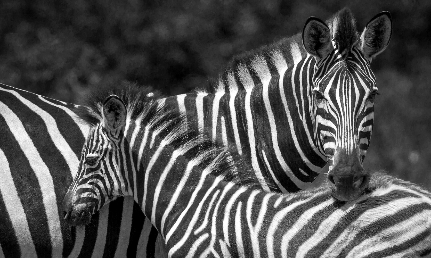 14. Lesson 14 : Subediting and Design